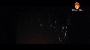 Ильшат Яппаров - синсез утэ гомор