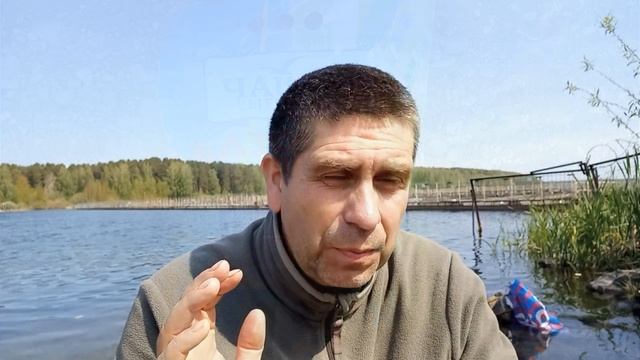 Как я поехал карпов ловить.