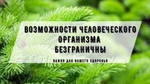 Возможности человеческого организма безграничны