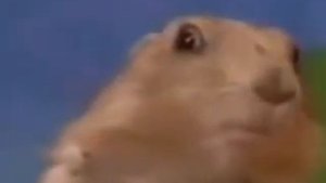 Тан, тан, таааааан!!!