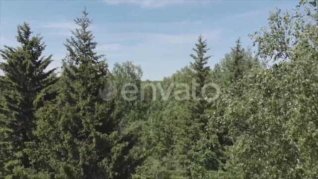 Flying Over the Siberian Taiga in the Natural Reserve Stolby | Stock Footage - Videohive смотреть онлайн