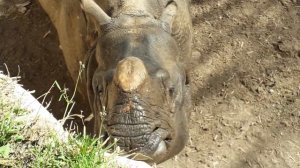 Terra natura,Benidorm