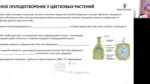 Лекция 16. Гаметогенез растений
