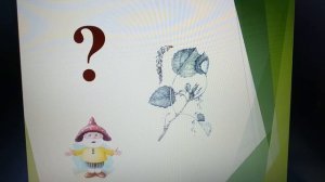 УЗНАЙ ДЕРЕВО ПО ЛИСТЬЯМ