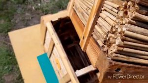 Улей из камыша.(обзор)