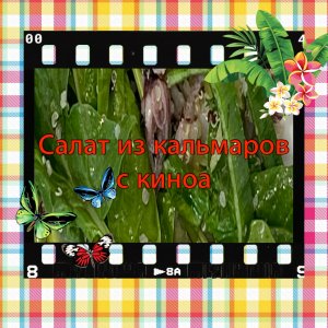 Салат из кальмаров с киноа.