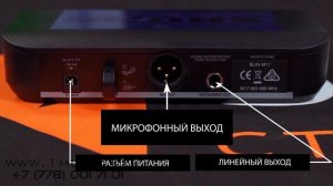 Радиосистемы SHURE BLX24E/PG58, BLX24E/SM58,  BLX24E/B58,  BLX288E/SM58 | Обзор