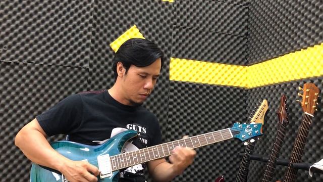 Guitar Cort M-LTD16 chất lượng và giá cực tốt - đối thủ của PRS SE Standard 24? Guitar4Freedom смотреть онлайн