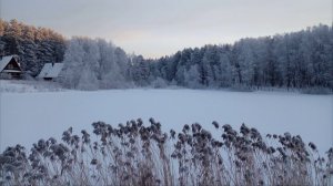 парк Берендеевка