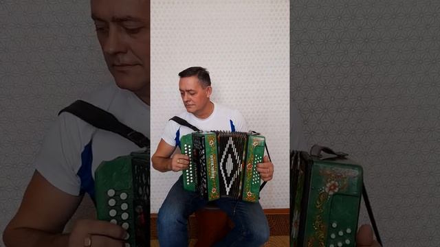 СЕРБИЯНОЧКА НА МИДИ ГАРМОНИ. ЧУМАКОВ. АЛЕКСАНДР. смотреть онлайн