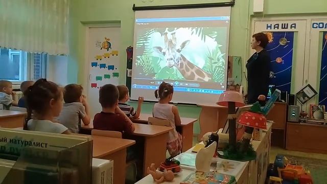 1 видеозанятия по лексич  теме Животные жарких стран