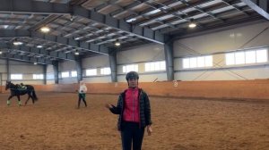 КАК ЗАЕЗДИТЬ МОЛОДОГО КОНЯ БЕЗ СТРЕССА