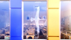 Новые Ватутинки: в ответе за тех, кого подселили