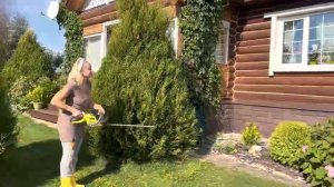 Стрижём туи конусом . Я сама . Любимый сад своими руками.