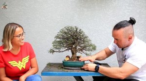 TRABALHANDO BONSAI DE UM INSCRITO NO CANAL | CLAUDIA PIO