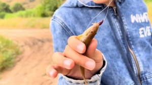 Узбекистан! ??КАК ПРОВОДЯТ СВАДЬБЫ В УЗБЕКИСТАНЕ?!