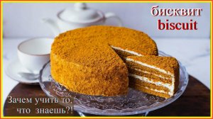 Зачем учить то, что знаешь?! бисквит-biscuit #французский#учить-французский#словарный-запас-фр-слов