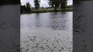 10.07.2019г. г.Белая Церковь.Киевской обл.