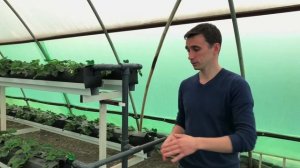 Система полива. Элементы автоматического капельного полива в теплице для земляники на гидропонике