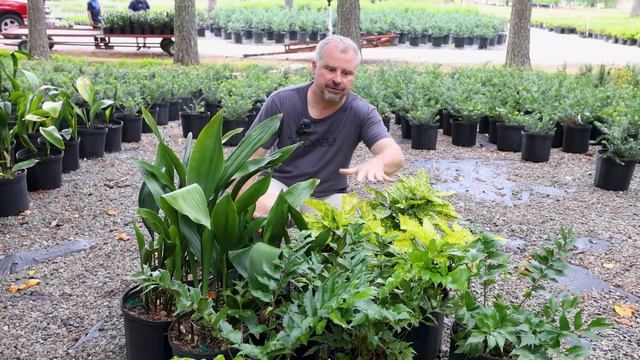 How to Pick Plants for the Greatest Impact in the Garden смотреть онлайн