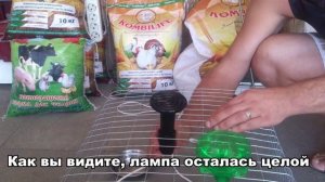 Краш-тест керамической лампы для обогрева