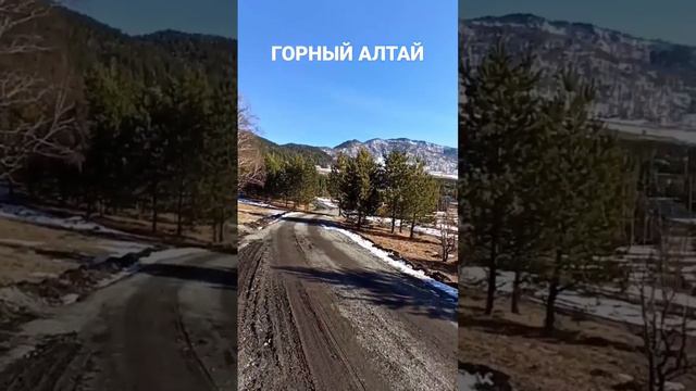 НОВЫЙ ПОСЕЛОК В ГОРАХ АЛТАЯ, ПЕРЕЕЗД НА ПМЖ