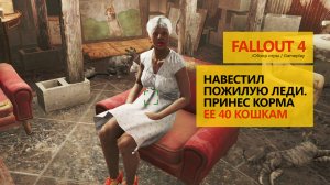 Fallout 4 Навестил пожилую леди, принес корма ее 40 кошкам