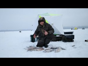 Зимняя Рыбалка с НОЧЕВКОЙ и КОМФОРТОМ в палатке! Ловля ЛЕЩА зимой на Белом озере