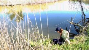 КОРОЧЕ ГОВОРЯ, я пошла на рыбалку. Приключения!