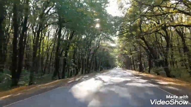 Осень:ДДТ - Что такое смотреть онлайн