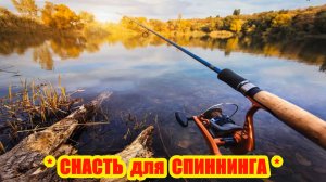 Интересная оснастка для спиннинга на Али