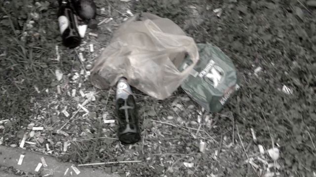 Наш Бутовский (Черневский) пруд смотреть онлайн