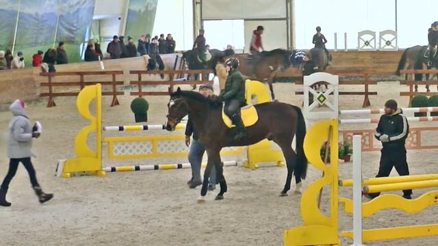 Прерий Шарм. Лукинов Богдан. Мастер - класс. Конный клуб "Equides club". с. Лесники. 13.02.2016. смотреть онлайн