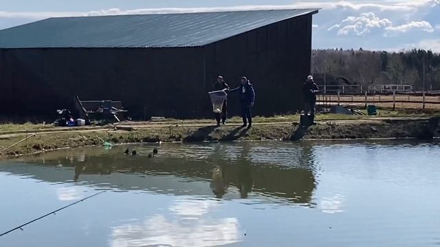 Утренний краткий обзор по прудам. Клев есть! смотреть онлайн