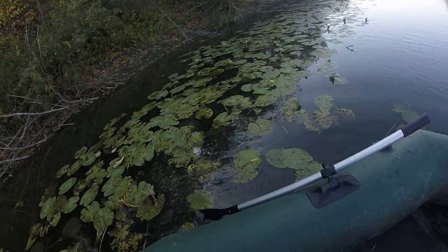 Тобол. 15.09.2015. Щука 800гр. смотреть онлайн