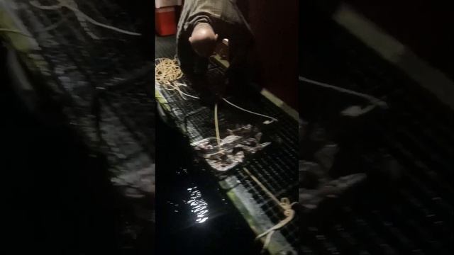 Ловля Крабов в Норвегии ночью. Fishing.