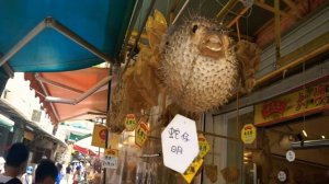 Tai O  Local street foods - Souvenirs Dried seafoods & more |Things to do in Tai o  | #explorehk