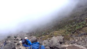 КАК ЗАБРАТЬСЯ НА КИЛИМАНДЖАРО? ⛰️ (Адвокат Егоров, Двое и Алое, Бантик Бой, Стас Давыдов)
