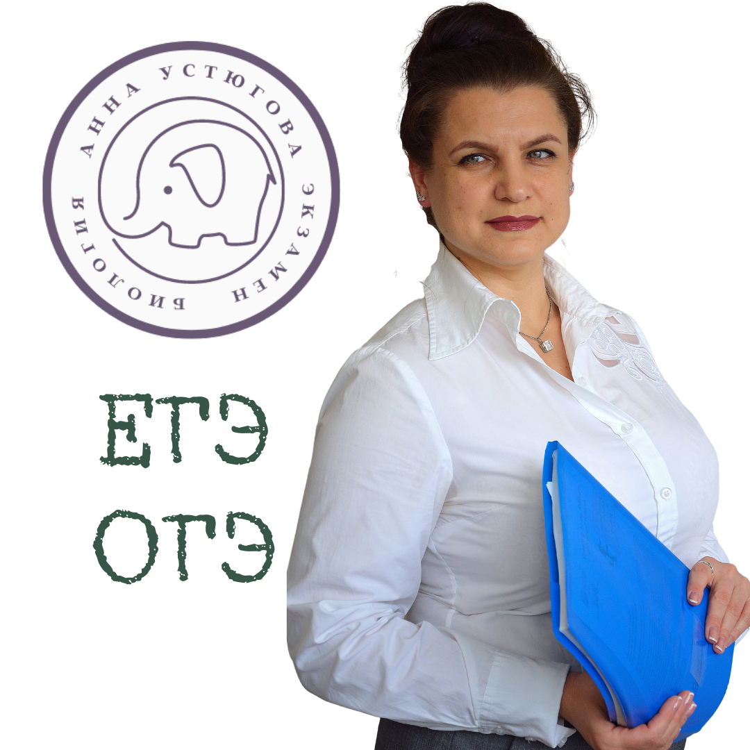 Первая линия егэ