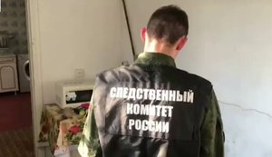 В Сочи собаки насмерть загрызли 4-летнюю девочку