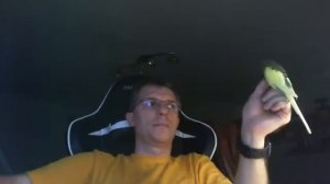 Волнистый попугай Рома разговаривает