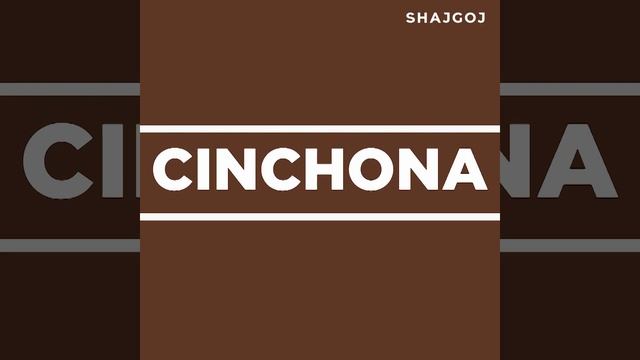 স্কিন টাইপ অনুযায়ী মিশা সানস্ক্রিনের ৪টি ভ্যারাইটিজ | Missha Sunscreen According To Your Skin Type смотреть онлайн