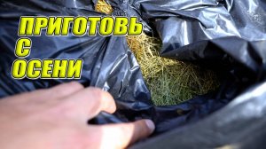 Приготовьте с осени бесплатное пролонгированное удобрение для кабачков САЖАЮ КАБАЧКИ ТОЛЬКО ТАК