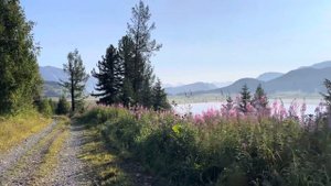 Природа Казахстана. Озеро Язевое. ВКО. Kazakhstan. Nature. Summer.