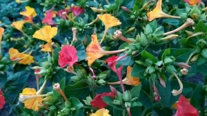 В плену у прошлого 1 - 16 серии | Мелодрама 2021