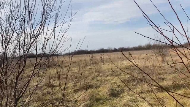 Привет,хуторок/ Такая зима/Заготовка шиповника/
