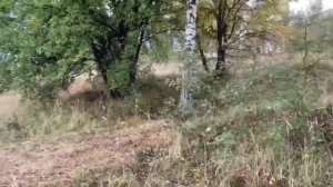 УЖАС! ГНОБИТ РОДНУЮ МАТЬ. ИННА СУДАКОВА.