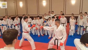 #karate #sports #shotokan #wkf #каратэ #спорт Гьяку цуки Юсеф Бадави семинар в Москве