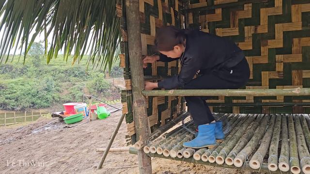 Daily life of a single mother: Harvesting papaya - Making a bathroom смотреть онлайн