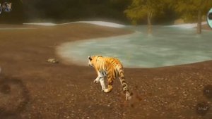 выживание за тигра с модом, бешеная тигрица😱(в игре Ultimate tiger simulator )